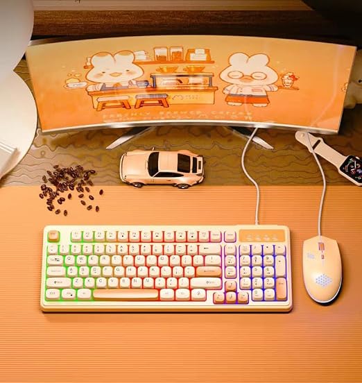 LB C01 Wired Keyboard and Mouse Combo